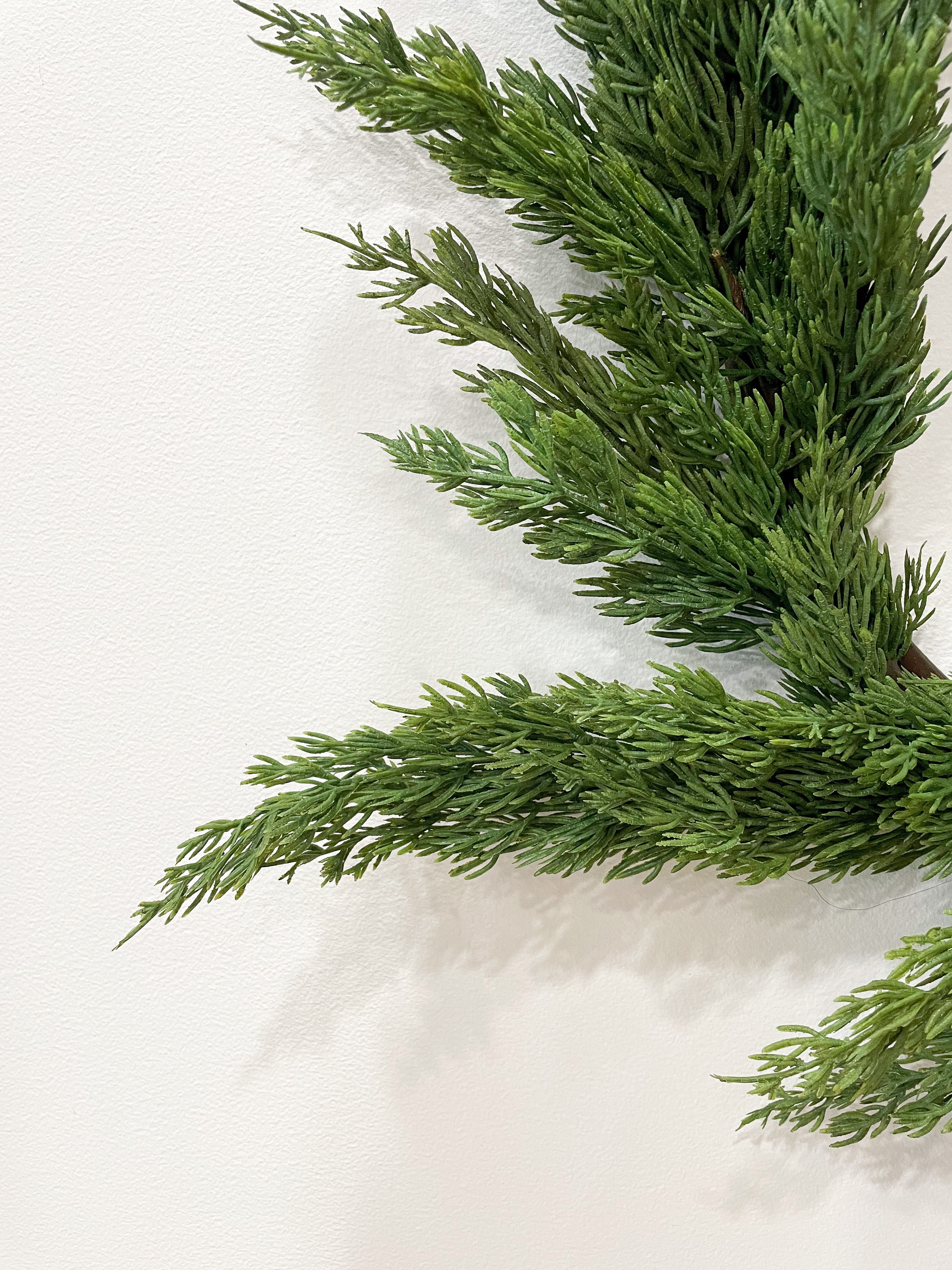 Cypress Wreath - 26"
